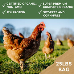 New Country Organics gallinas comiendo, mejora comportamiento y postura