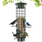 Niser front view green feeder showing mesh and perches for clear bird access