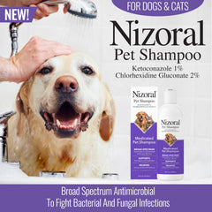 Nizoral etiqueta con ketoconazol y clorhexidina para identificación rápida