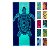 Nova Blue front view showing turtle design and vibrant colors for easy spotting