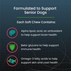 Nutramax Dasuquin chew in hand showing large-dog portion and convenient dosing