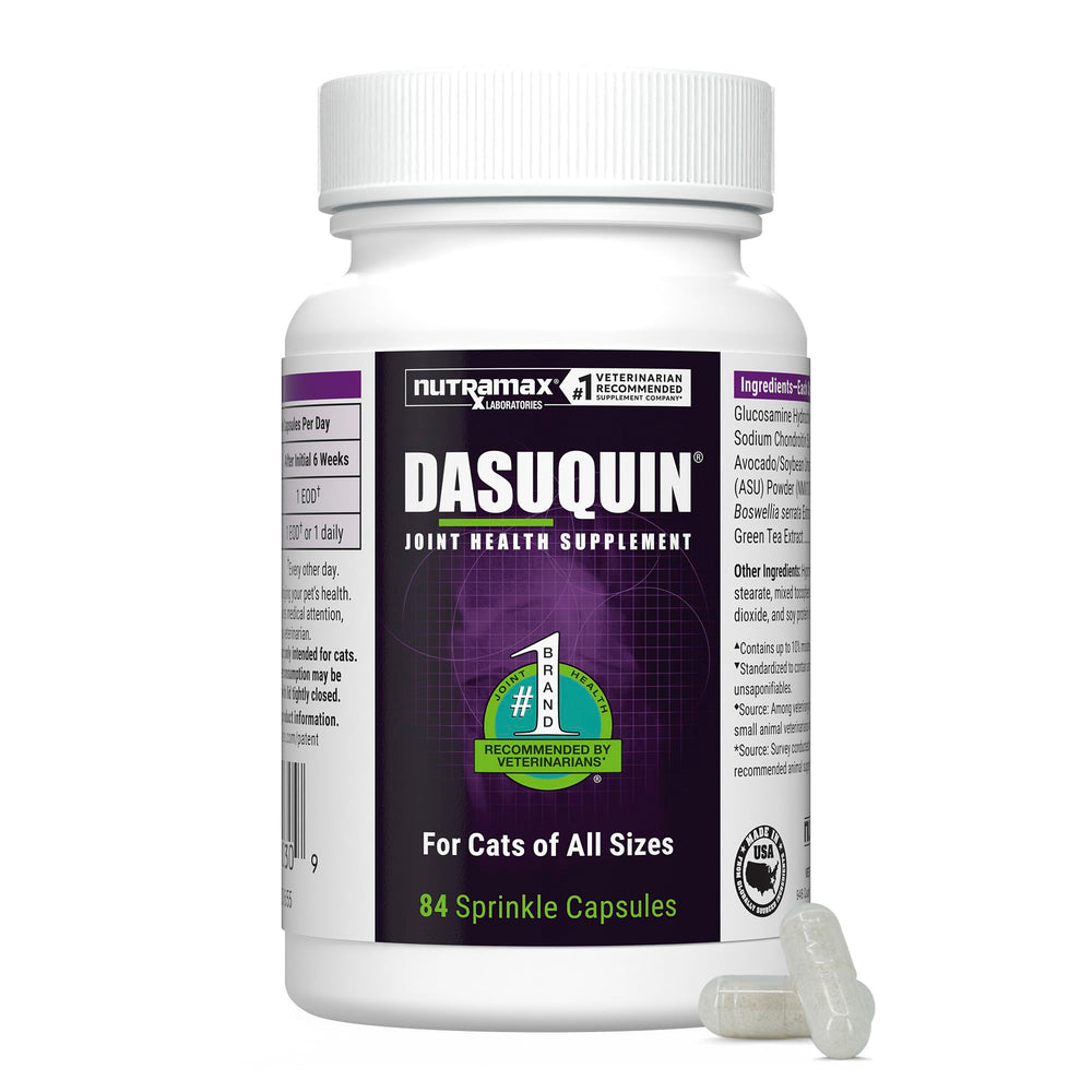 Nutramax Dasuquin front packaging showing product and benefits