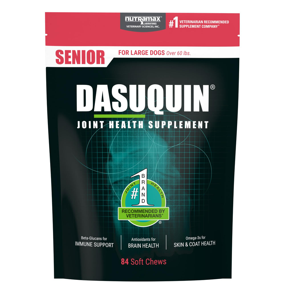 Nutramax Dasuquin container front showing product and clear dosing benefits