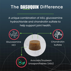 Nutramax Dasuquin soft chew close-up texture highlighting palatable chewability