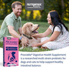 Nutramax Proviable cápsulas abiertas con polvo probiótico rico en UFC