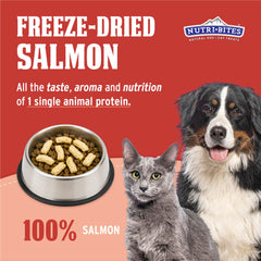 Nutri Bites textura cercana del salmón liofilizado, conserva nutrientes