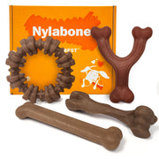 Nylabone pack frontal mostrando las cuatro formas y sabores para mayor entretenimiento