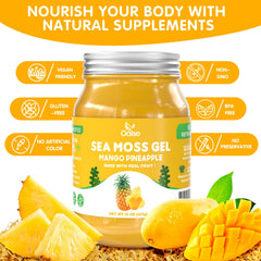 OALSE gel sea moss mezclándose en batidora con frutas, facilita preparar batidos nutritivos