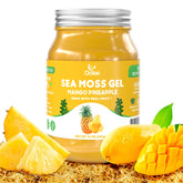 OALSE gel sea moss frente del frasco mostrando presentación y etiqueta, ideal para elegir producto