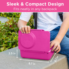 Omie OmieBox UP top-down layout showing separated compartments for food variety