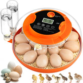 Onsju front view of incubator showing controls and compact design for convenient use