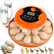 Onsju front view of incubator showing controls and compact design for convenient use