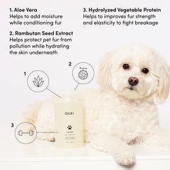 OUAI shampoo lather texture highlighting gentle foam for soft coat benefit