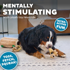 Outward Hound perro sacando ardilla, entretenimiento y ejercicio mental