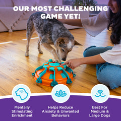 Outward Hound enfoque en palancas y rueda, estimula la resolución de problemas