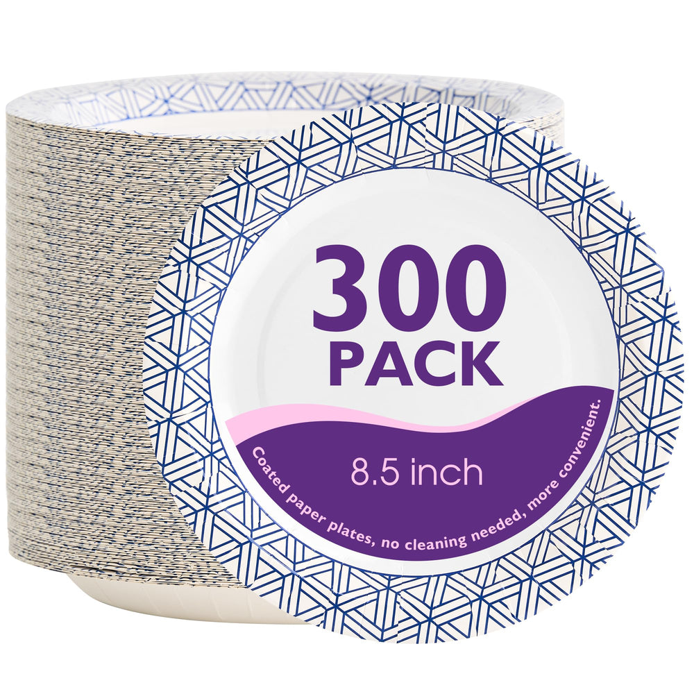 PACKINNO paquete frontal de 300 platos mostrando presentación y cantidad