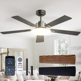 Passky front view of 52-inch black fan showcasing modern profile and energy savings