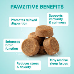 Pawzitive Pets detalle de la textura blanda que facilita masticación segura