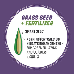 New Pennington seedlings sprouting showing quick establishment benefit