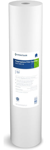 Pentek DGD-5005-20 front view showing cartridge ready for quick replacement and protection
