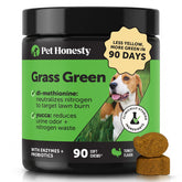Pet Honesty front jar showing Grass Green chews and clear labeling benefit