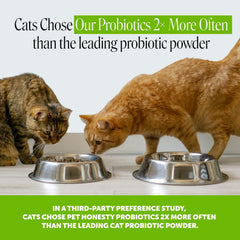 Pet Honesty primer plano de textura crujiente y núcleo cremoso, atractivo paladar