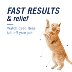 PetArmor CAPACTION given to cat with cat calmer after treatment benefit
