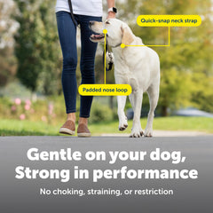 PetSafe perro paseando en ciudad con mejor comportamiento y control