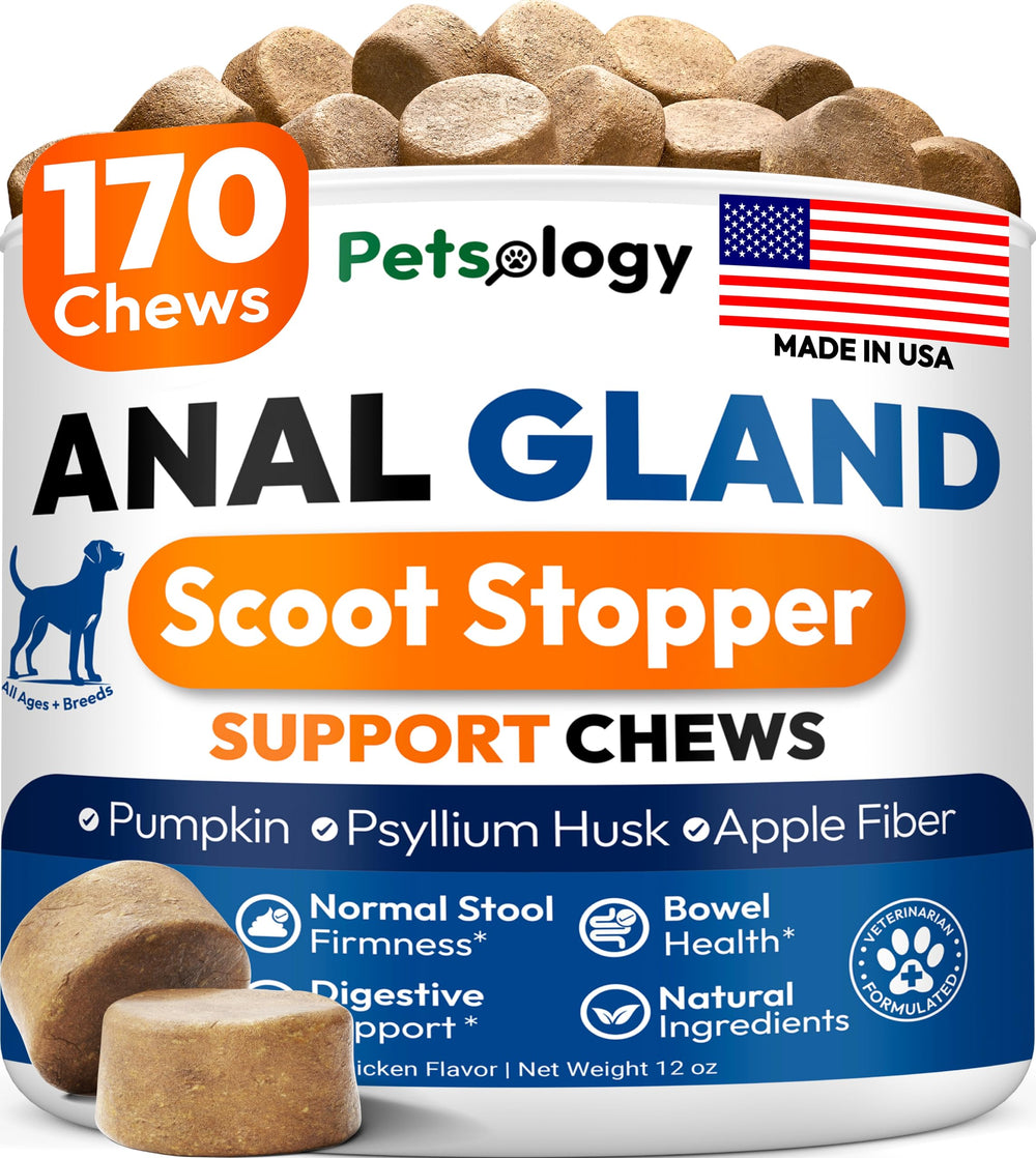 Petsology caja frontal mostrando el paquete y beneficio digestivo inmediato