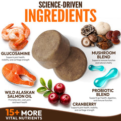 Petsology cucharilla con hongos funcionales indicando ingredientes naturales