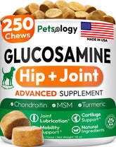 Petsology tarro frontal mostrando 250 masticables y conveniencia