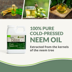 plantonix Neem Bliss primer plano de textura aceitosa del producto para formulaciones