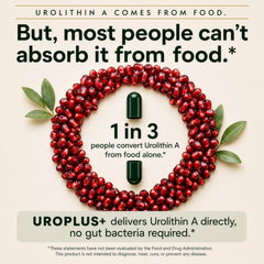 Plus+Ultra ilustración de liposomas indicando mayor absorción