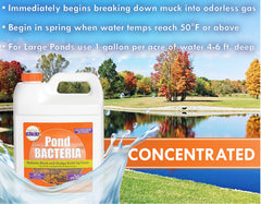 PondWorx aplicación en estanque verte desde la orilla para distribuir bacterias