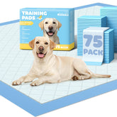Powools front package showing 75-pack and size benefits