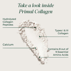 Primal Harvest powder texture close-up illustrating smooth mixability
