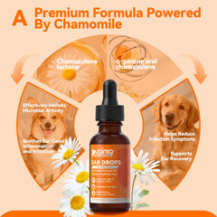 PUAINTA dropper applying ear drops to a dog demonstrating simple at-home use