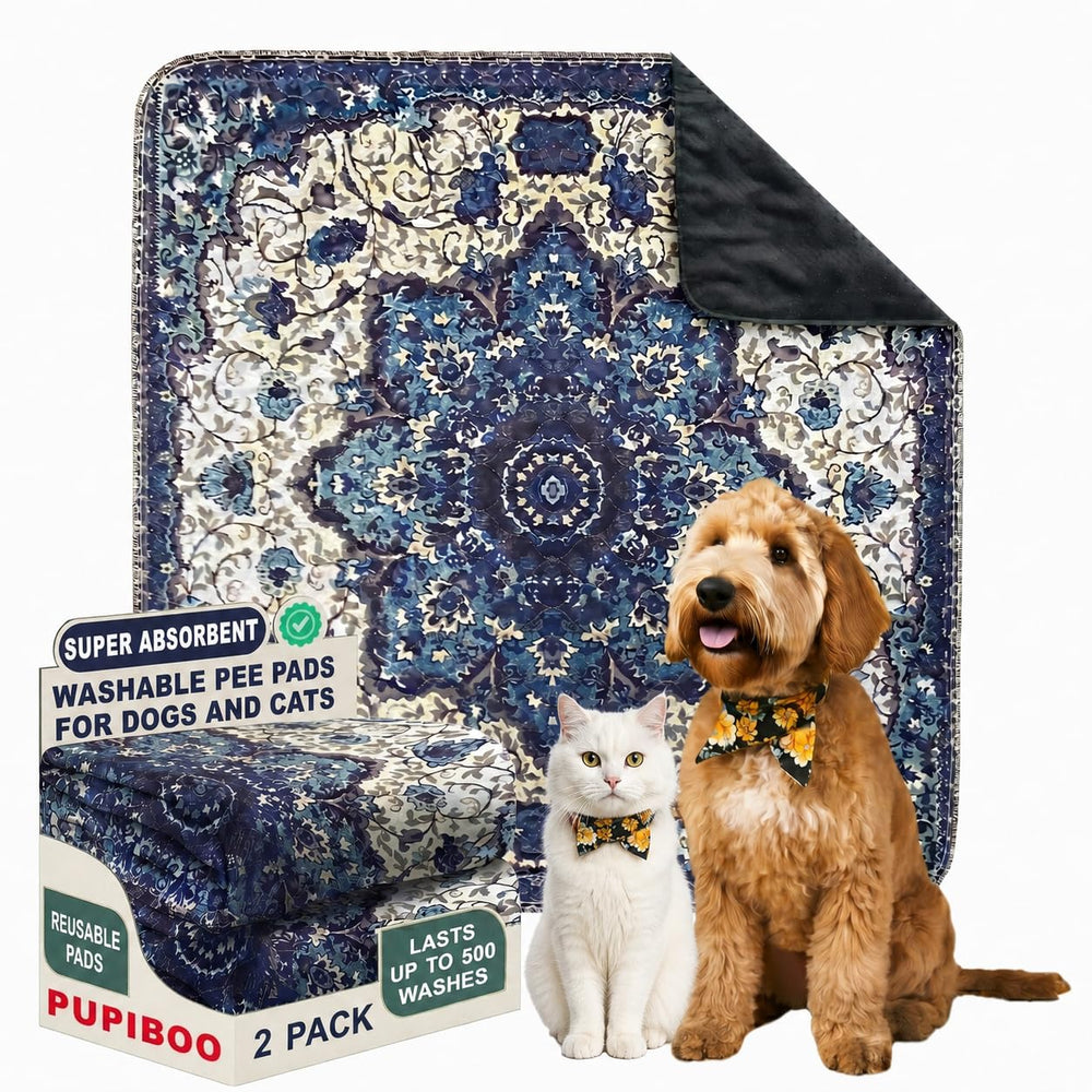 PUPIBOO front packaging showing pad design and benefits