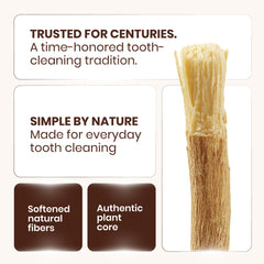 PUREWAK Miswak en uso por una persona, limpieza práctica y portátil