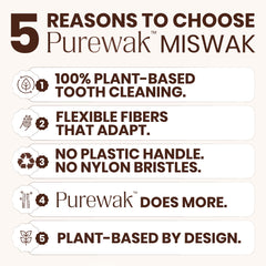 PUREWAK porta-miswak junto a palos, transporte higiénico y ordenado