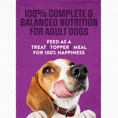 Purina Moist & Meaty primer plano de la carne picada mostrando sabor real