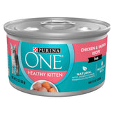 Purina ONE front can packaging showing chicken and salmon benefits