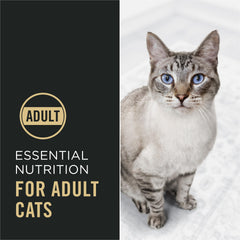 Purina Pro Plan textura del pienso que indica crocancia y calidad