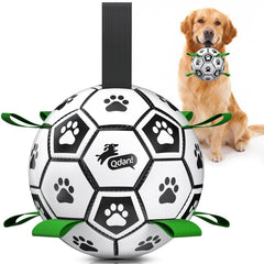 QDAN front packaging view showing large dog soccer ball and included pump benefits durability