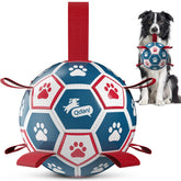 QDAN pelota frontal mostrando diseño y tamaño práctico