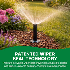 Rain Bird 1804VAN installed in lawn showing even watering and reduced overspray