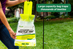 RESCUE! close-up of entrance panel guiding beetles into trap, improved catch rate