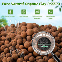 Riare close-up of 4–16mm clay pebble texture for improved aeration