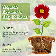 Riare pebbles in hydroponic net pot demonstrating drainage benefits