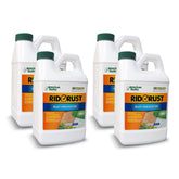 American Hydro Systems botella Rid-O-Rust vista frontal, previene manchas